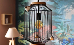 La cage aux oiseaux